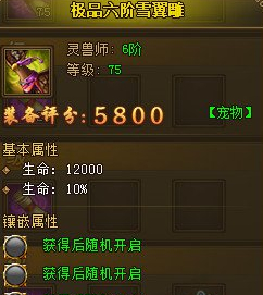 热血江湖传私服极品六阶雪翼雕